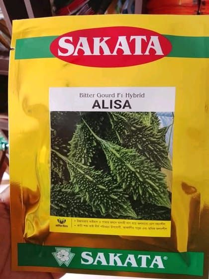 ছোট জাতের হাইব্রিড করলা আলিশা । F1 Hybrid bitter gourd seeds Alisha