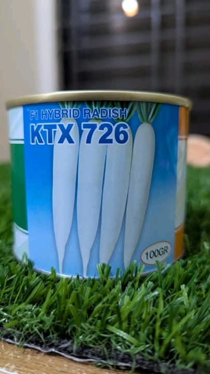 বারোমাসি হাইব্রিড মুলা কেটিএক্স ৭২৬ । Four-year hybrid radish KTX 726.