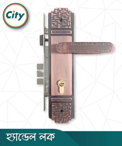 উচ্চ সুরক্ষার স্ট্যান্ডার্ড সাইজের হ্যান্ডেল লক প্রধান দরজার জন্য অ্যান্টিক রঙের দরজার লক Door Lock