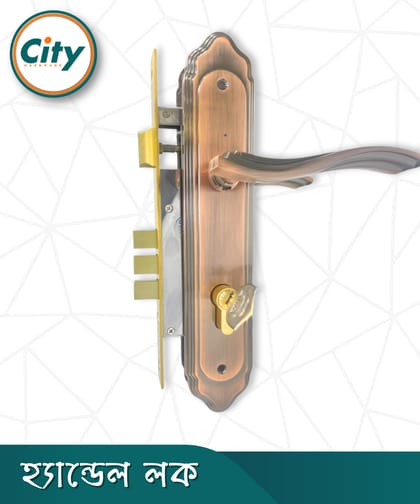 উচ্চ সুরক্ষা স্ট্যান্ডার্ড সাইজের হ্যান্ডেল লক প্রধান দরজার জন্য অ্যান্টিক রঙের দরজার লক Door Lock