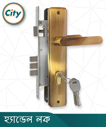 অনন্য রঙের উচ্চ সুরক্ষা স্ট্যান্ডার্ড সাইজের হ্যান্ডেল লক প্রধান দরজার লক Door Lock