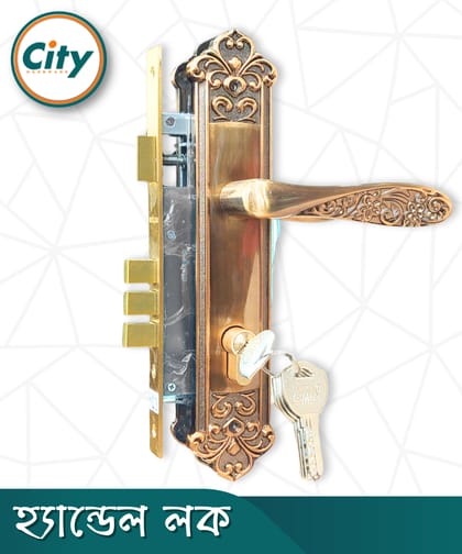 সিএফ রঙের উচ্চ সুরক্ষা স্ট্যান্ডার্ড সাইজের হ্যান্ডেল লক প্রধান দরজার লক Door Lock