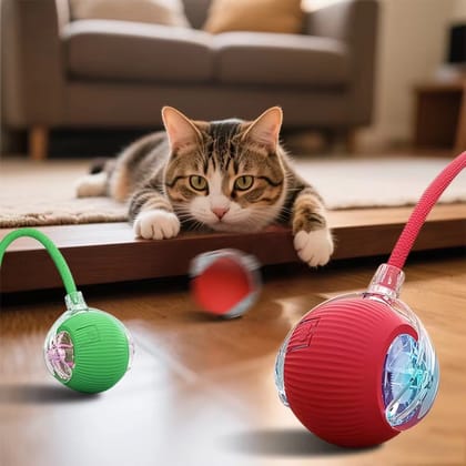 Pet Toy Ball