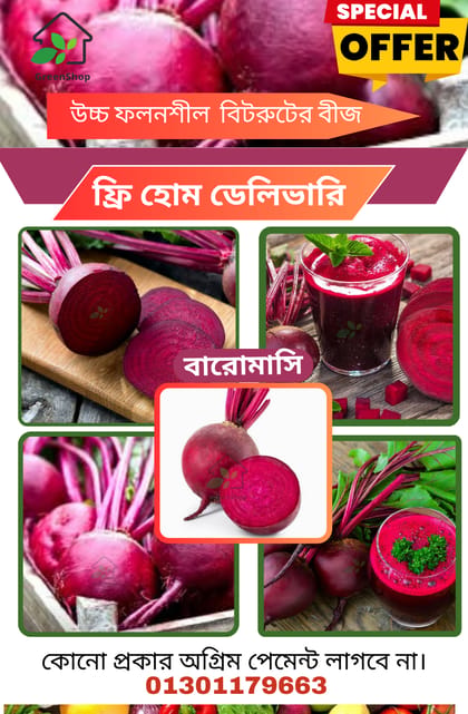 উচ্চ ফলনশীল জাতের বারো মাসি বিটরুটের বীজ