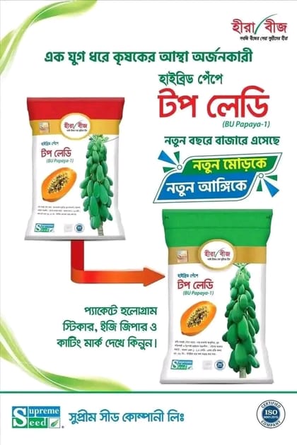 হাইব্রিড পেঁপে টপ লেডি ( BU Papaya-1 ) ,। Hybrid Papaya Top Lady (BU Papaya-1)