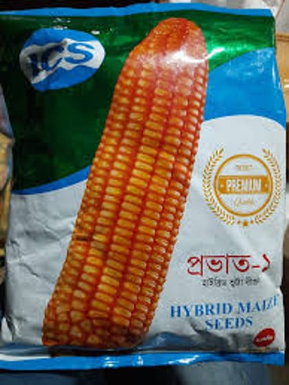 হাইব্রিড ভুট্টার বীজ প্রভাত -১ ( ৫৫ সেগমেন্ট ) । Hybrid corn seed Prabhat 1  or Povat 1 ( 55 segment )