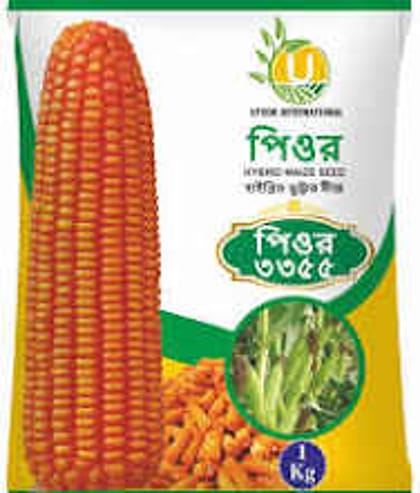 হাইব্রিড ভুট্টার বীজ পিওর ৩৩৫৫ । Hybrid corn seed pure  3355
