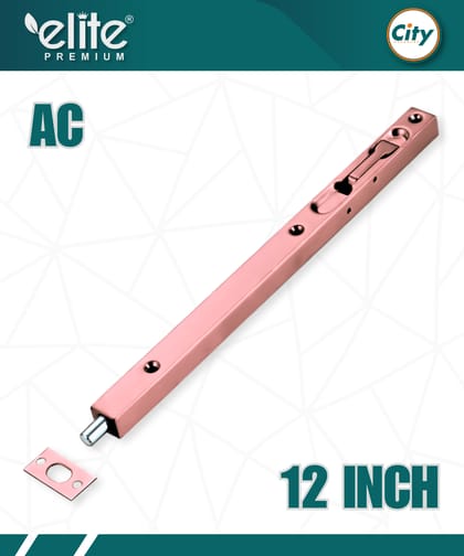 ১২ ইঞ্চি স্টেইনলেস স্টিল ফ্লাশ মাউন্ট টাওয়ার বোল্ট কনসিল ছিটকানি ফোল্ডিং ডোর বোল্ট অ্যাণ্টিক রঙের