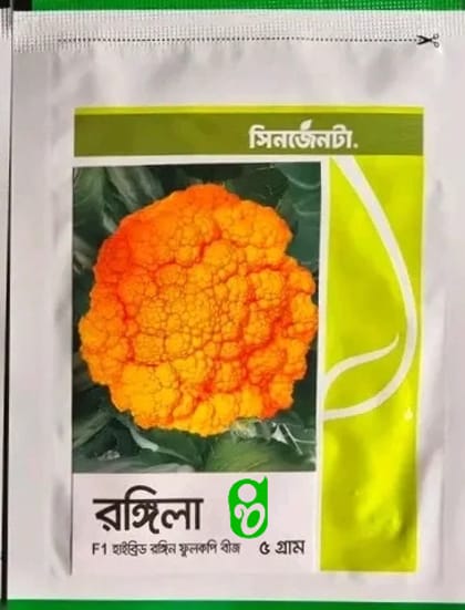 হলুদ কালারের রঙিন ফুলকপি রঙ্গিল। Yellow colored cauliflower rangeela