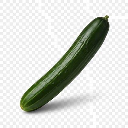 হাইব্রিড শসা ণ