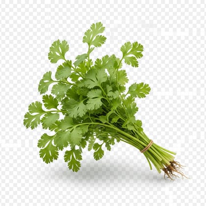 ধনেপাতা