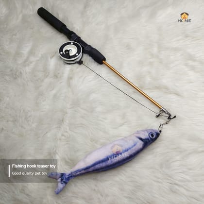 Fishing teser toy