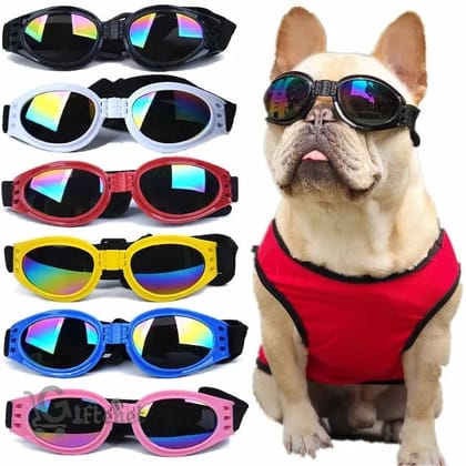 Dog Sunglass