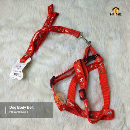 Dog Harness