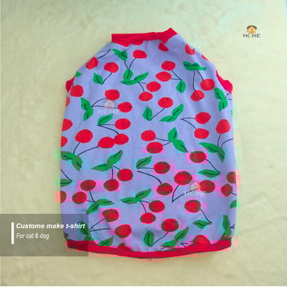 cat t-shirt (10,2 kg)