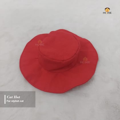Cat hat