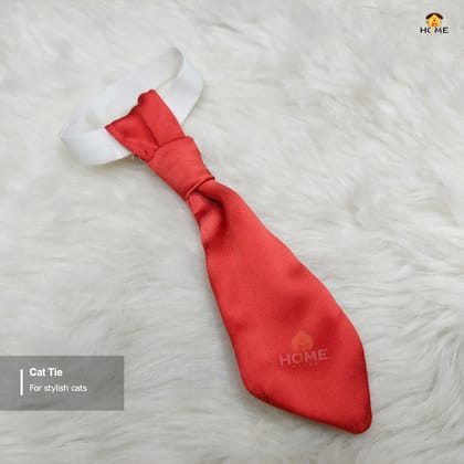 cat tie