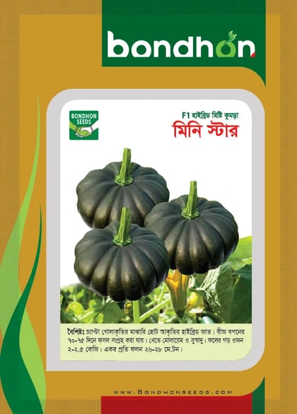 হাইব্রিড মিষ্টি কুমড়ার বীজ মিনিস্টার