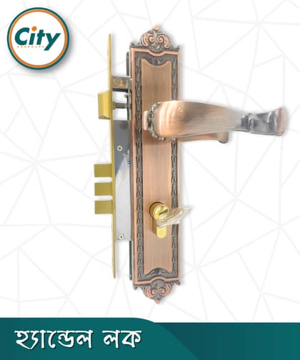 উচ্চ সুরক্ষা স্ট্যান্ডার্ড সাইজের ডোর লক প্রধান দরজার লক অ্যান্টিক রঙের হ্যান্ডেল লক Door Lock