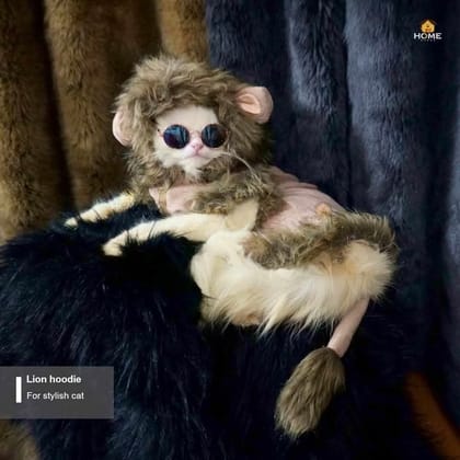 cat laion hoodie (custome)