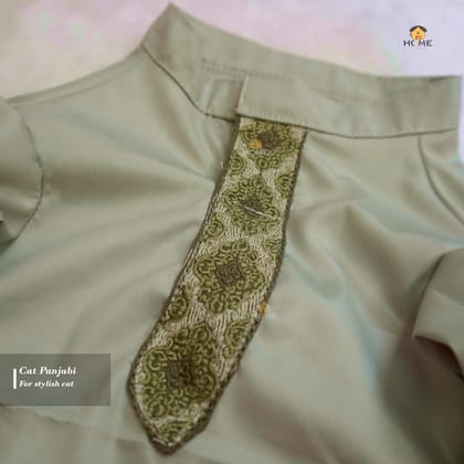 Cat panjabi(custom)