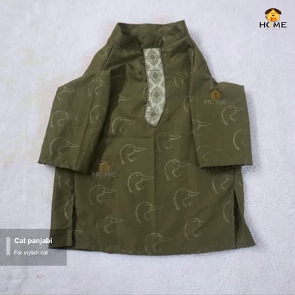 cat panjabi (8,7 kg)