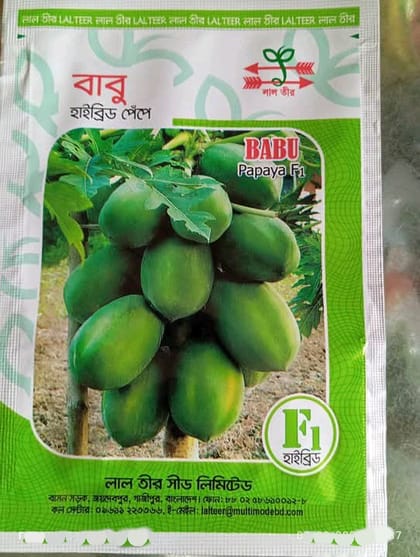 লাল তীরের হাইব্রিড পেঁপে বাবু । F1 Hybrid Papaya( pepe ) Seeds Babu