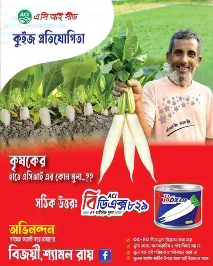 F1 হাইব্রিড মূলা বিডিএক্স  ৮২৯ । F1 Hybrid Radish BDX 829 ( ACI SEED )