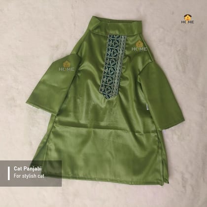 cat panjabi (6,2 kg)