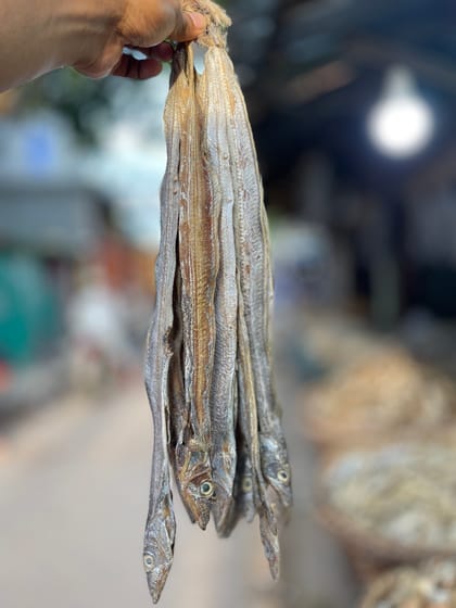 ছুরি শুঁটকি বড় সাইজ B (Churi Shutki)