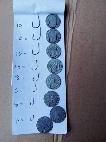 ডাইসি চিকন বড়শি ১০০পিছ  - Daice 100 pis