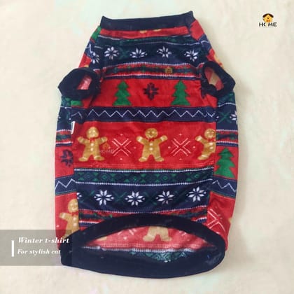 Winter t-shirt (custome)