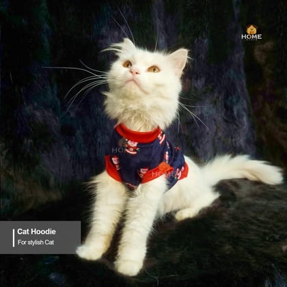 Winter t-shirt (custome)