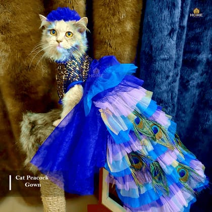 Cat Peacock gown custome
