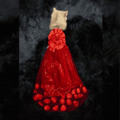 Flower gown (custome)