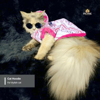 Cat hoodie (6 kg)