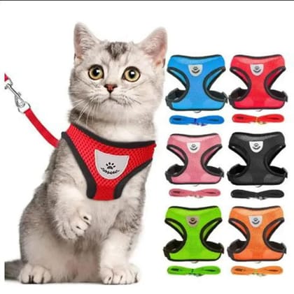 Clothe harness - multicolour