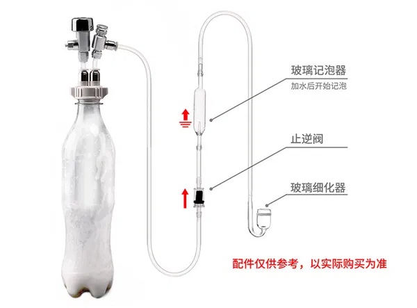 DIY CO2 kit with diffuser and bubble counter