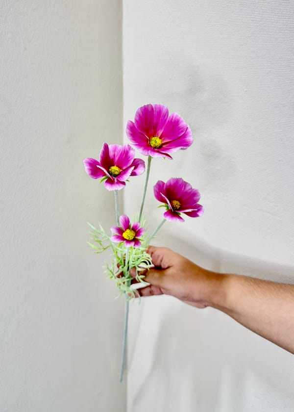 Single poppy flower (Copy)