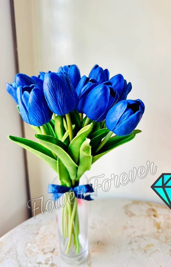 Single Tulip