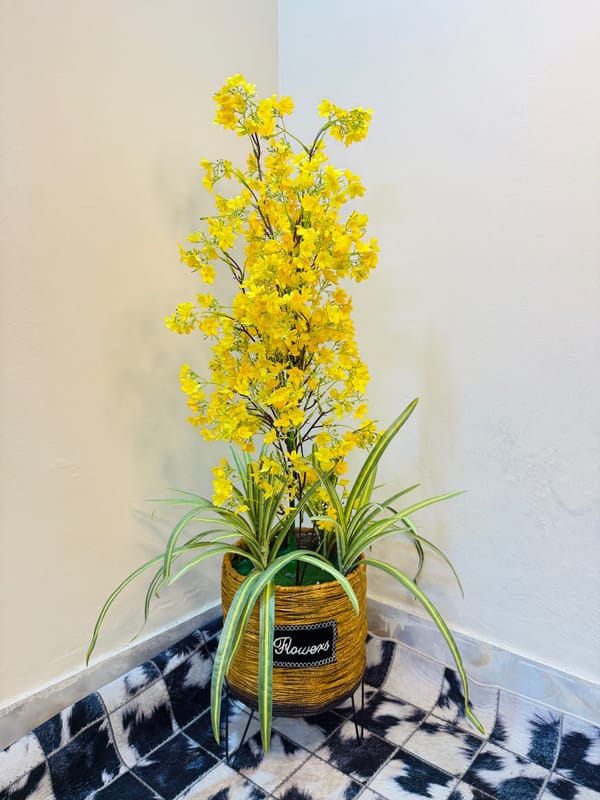 Flower plants