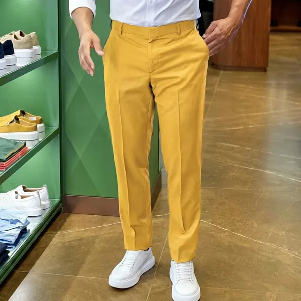 Formal solid masterd pant -chaina fabric