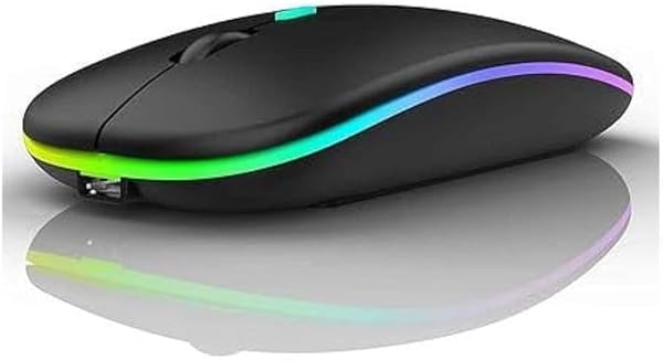 Hp W10 Wireless Mouse