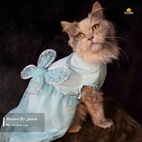 Cat butterfly gown (4 kg)