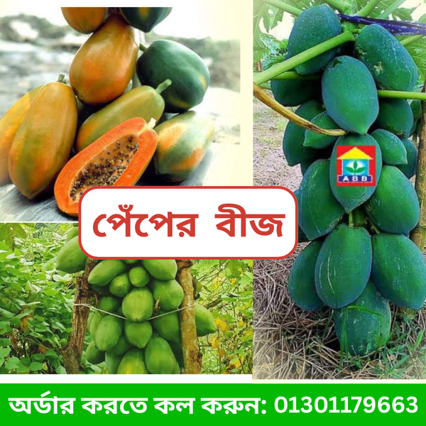 সেরা জাতের পেঁপে