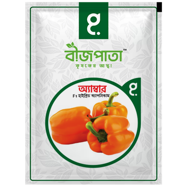 অ্যাম্বার এফ১ হাইব্রিড ক্যাপসিকাম বীজ। Amber F1 Hybrid Capsicum Seeds