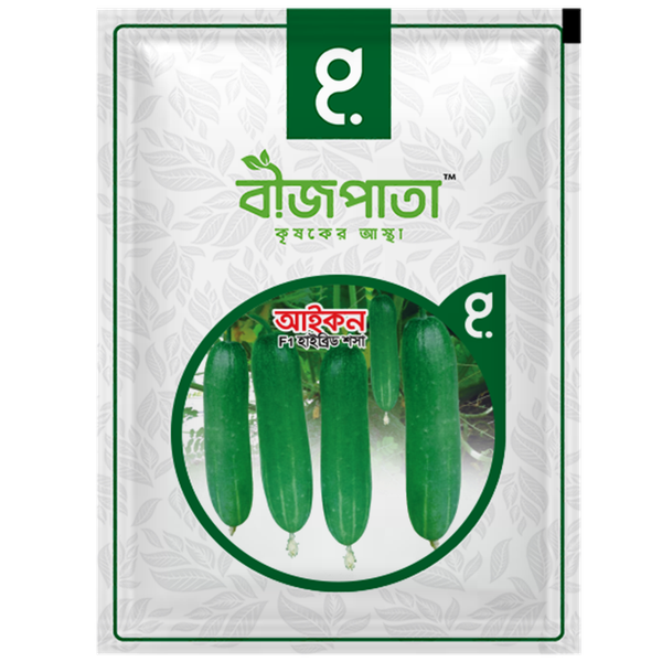 আইকন শসা বীজ Icon Cucumber Seed