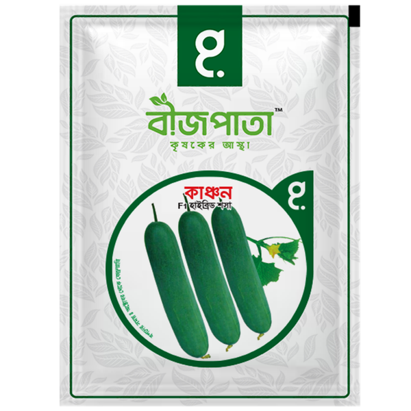 কাঞ্চন এফ১ হাইব্রিড শসা বীজ। Kanchan Plus F1 Hybrid Cucumber Seeds