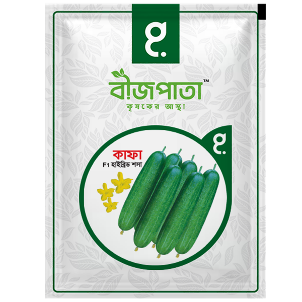 কাফা প্লাস  এফ১ হাইব্রিড শসা বীজ। Kafa plus  F1 Hybrid Cucumber Seeds