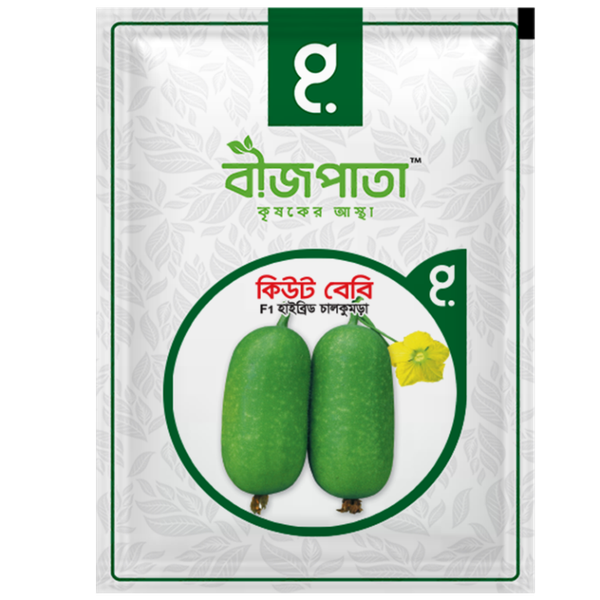 কিউট বেবি এফ১ হাইব্রিড চালকুমড়া বীজ। Cute Baby F1 Hybrid Rice Pumpkin Seeds